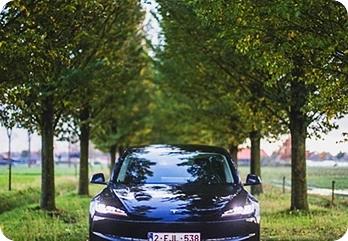 Car touring a garden.